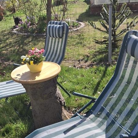 Ferienwohnung Rosengarten Ballenstedt Dış mekan fotoğraf