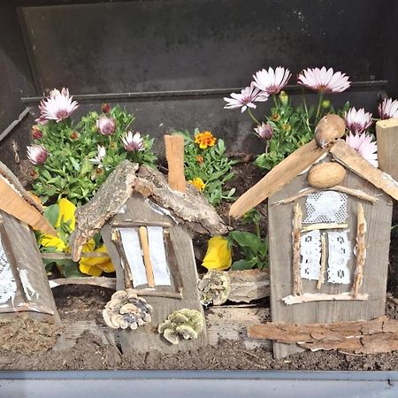 Ferienwohnung Rosengarten Ballenstedt Dış mekan fotoğraf