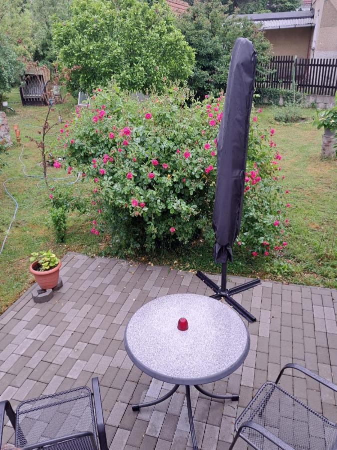Ferienwohnung Rosengarten Ballenstedt Dış mekan fotoğraf